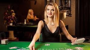 crickex login password